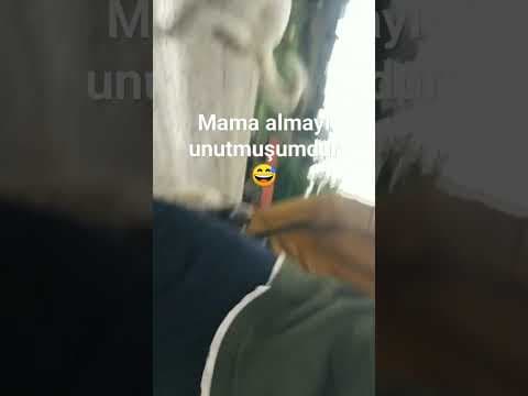 Hasan K. — video 3
