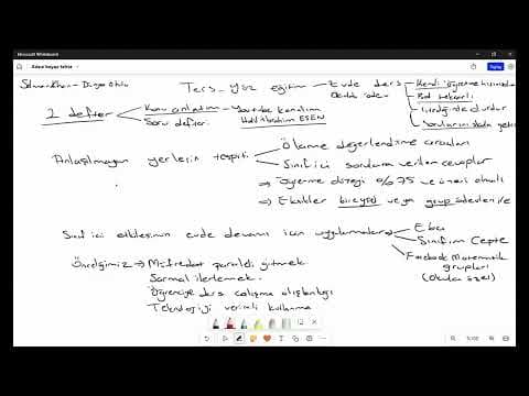 Halil E. — video 1