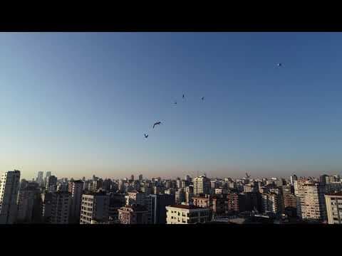 34 Ç. — video 2
