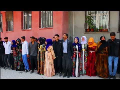 Ahmet B. — video 5