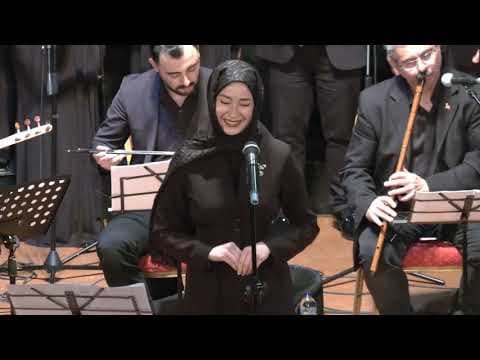 Gökçe Y. — video 1