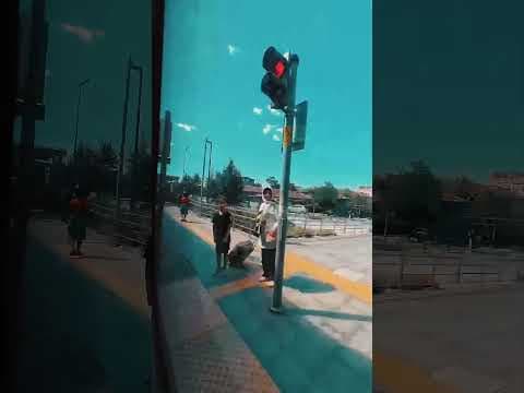 AEP S. — video 7