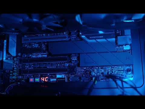 Berkant T. — video 4