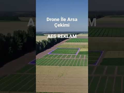 Said A. — video 2