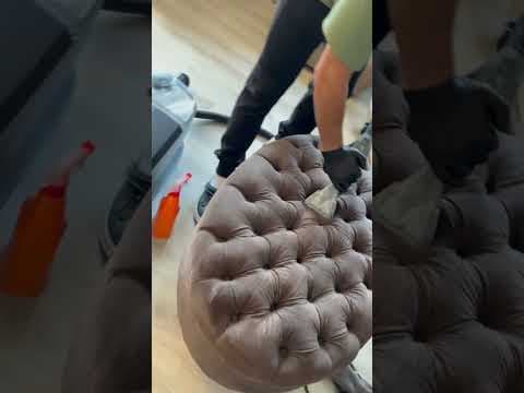 S&N Y. — video 4