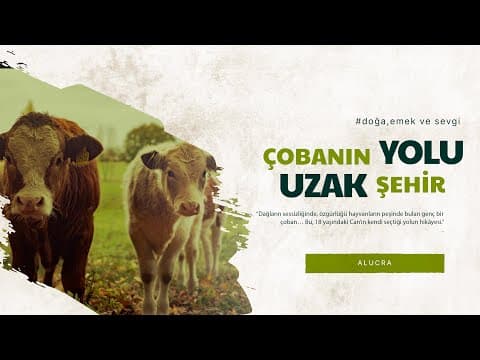 Sude Ş. — video 7