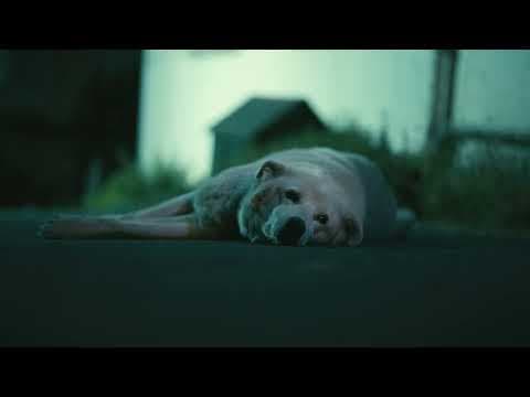 Buse Ç. — video 8