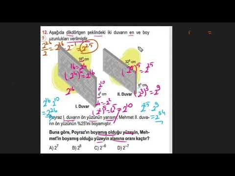 Beril D. — video 4