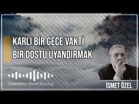 Ahmet B. — video 7
