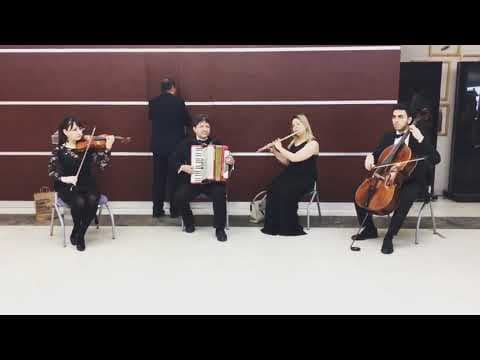 Mehmet B. — video 8
