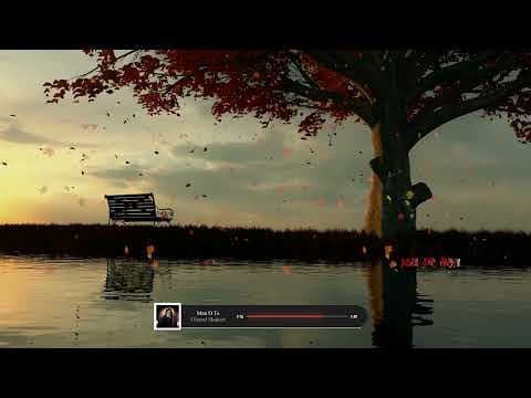 Volkan N. — video 1