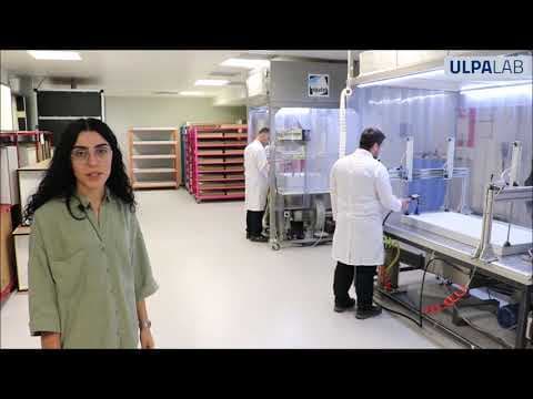 Mehmet D. — video 2