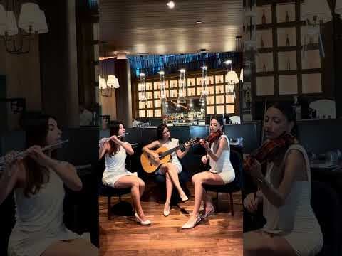 Orion T. — video 2