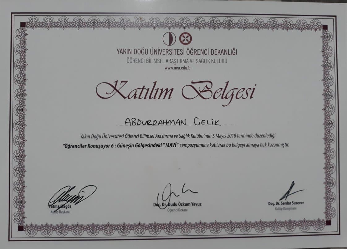 Fzt. Ç. — çalışma 4