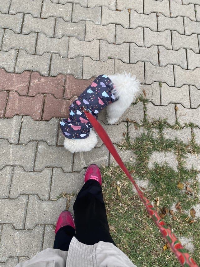 Ada G. — çalışma 6