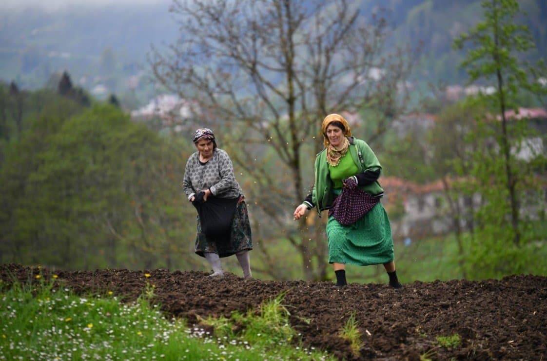 Adem Ö. — çalışma 5