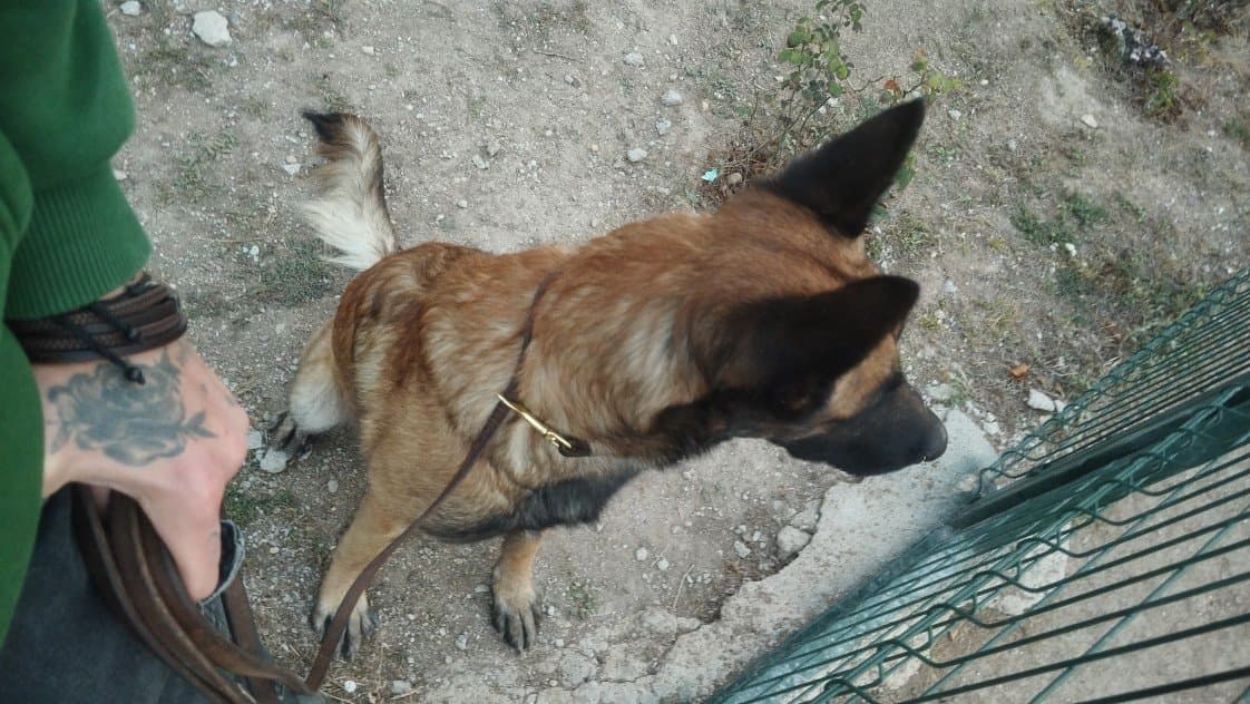 Adem Ş. — çalışma 6