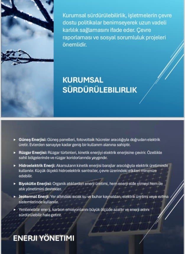 Ahmet E. — çalışma 2