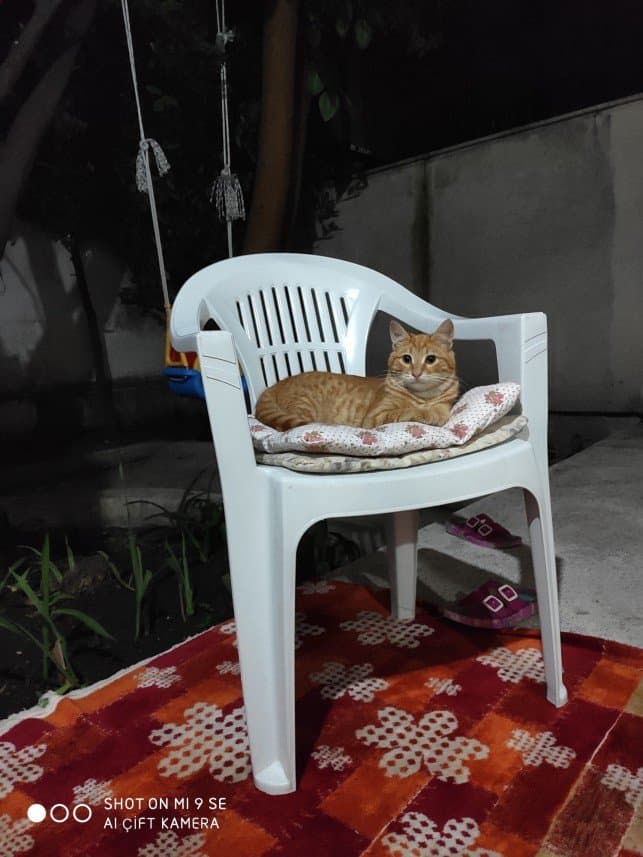 Ahmet G. — çalışma 1