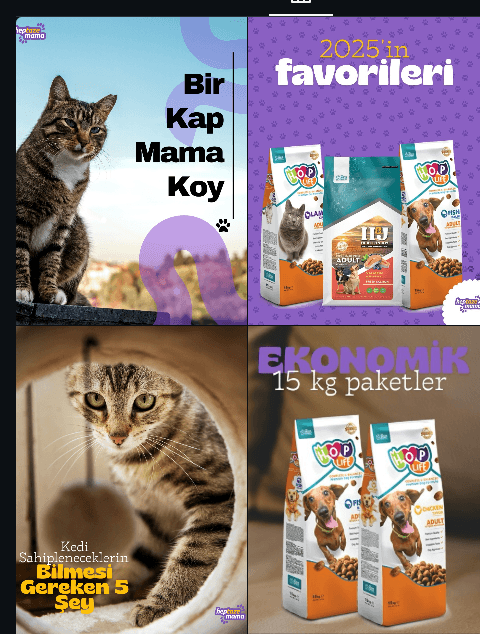 Aleyna A. — çalışma 1