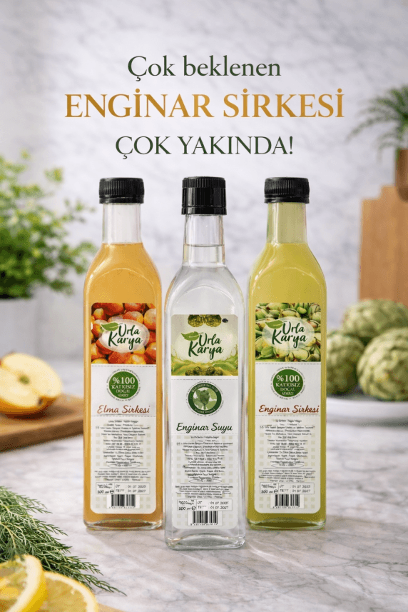 Aleyna K. — çalışma 2