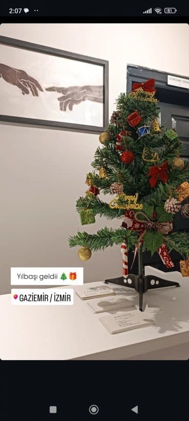 Aleyna N. — çalışma 1