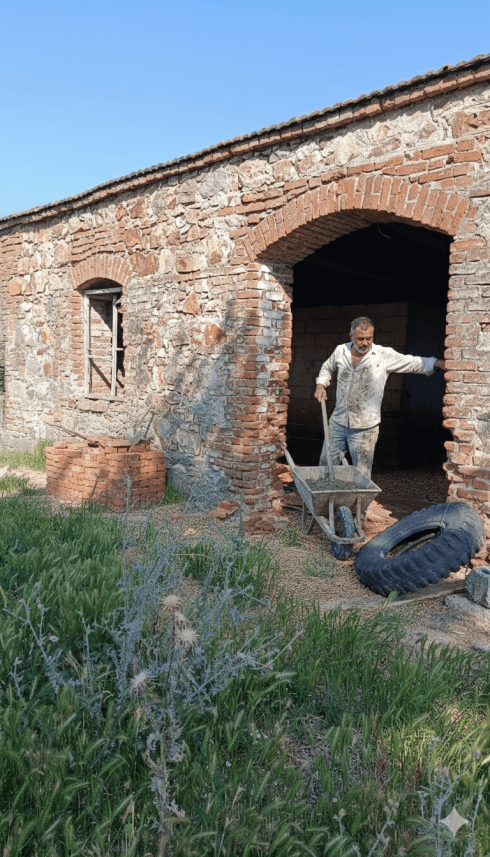 Ali C. — çalışma 2
