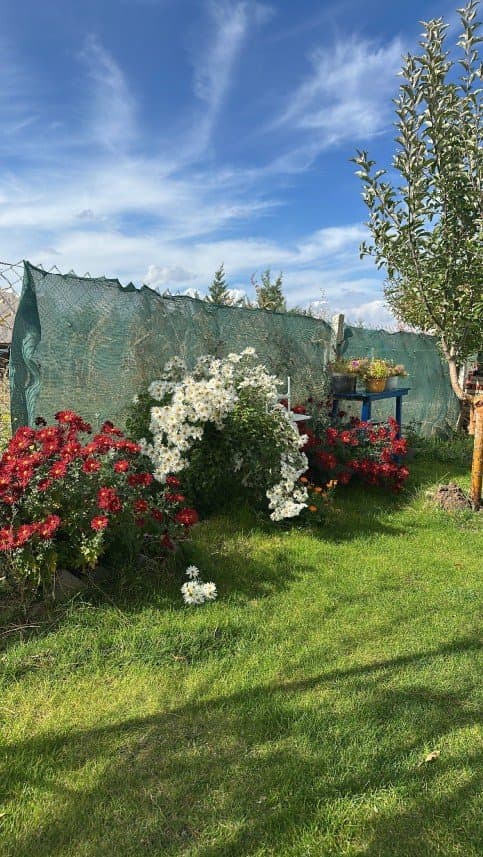 Alp D. — çalışma 7