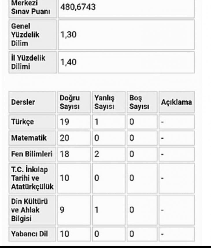 Alper G. — çalışma 2