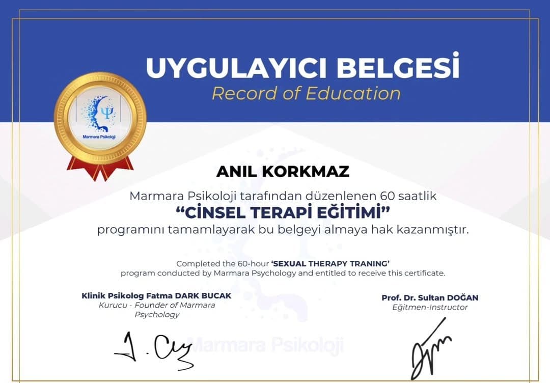 Anıl K. — çalışma 2