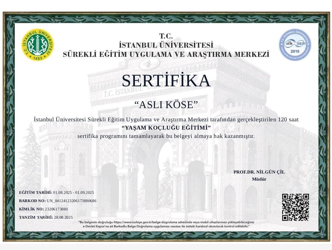 Aslı K. — çalışma 2