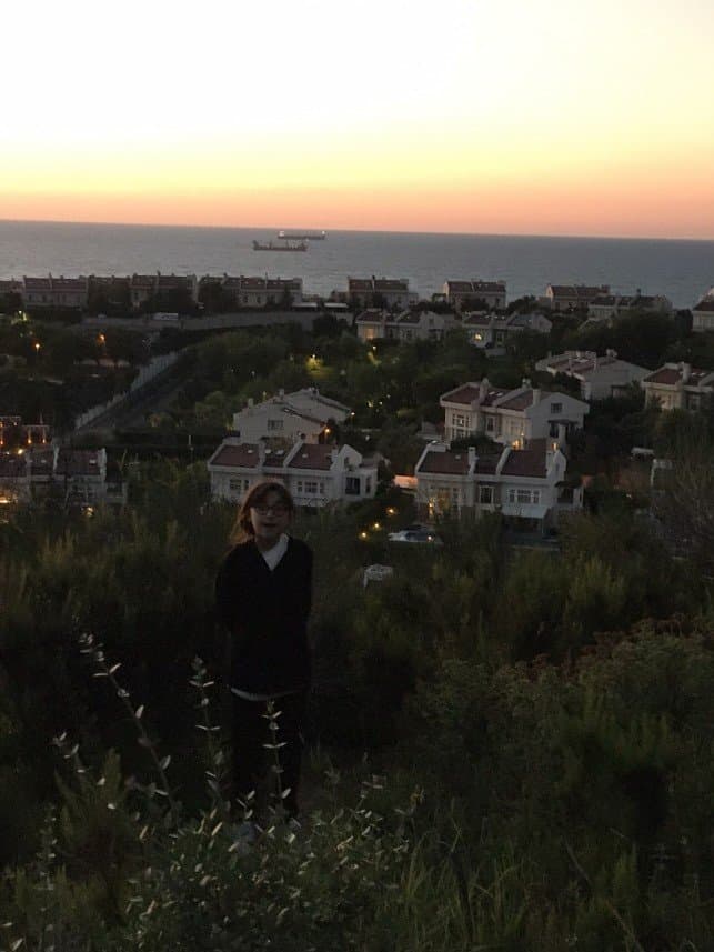 Atalay T. — çalışma 1