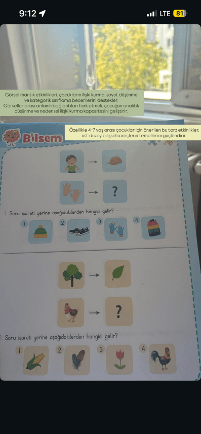 Ayça E. — çalışma 1
