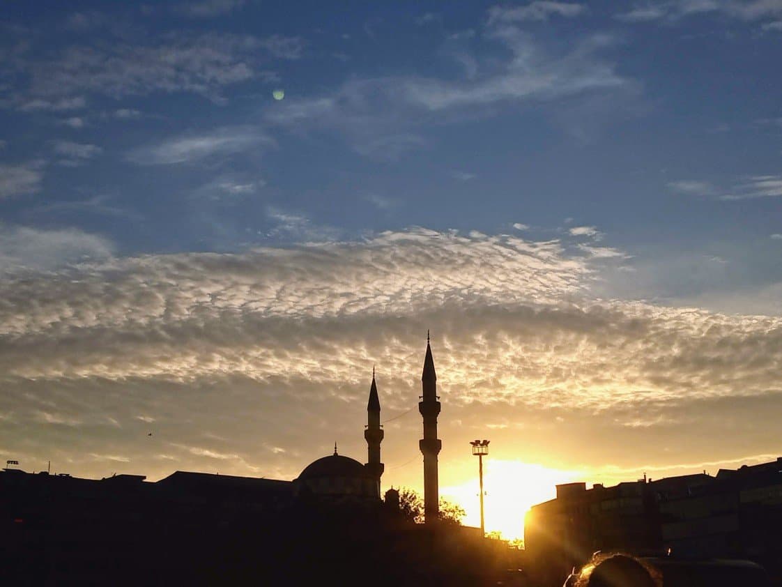 Ayla Y. — çalışma 2