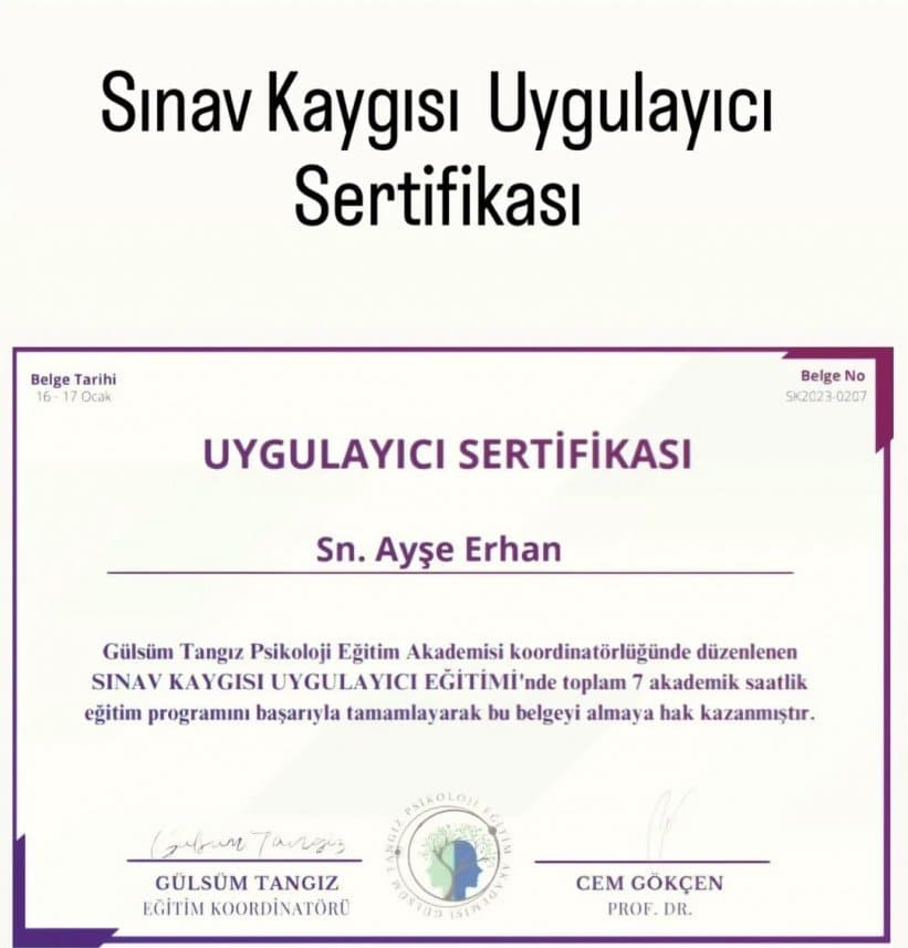 Ayşe E. — çalışma 1