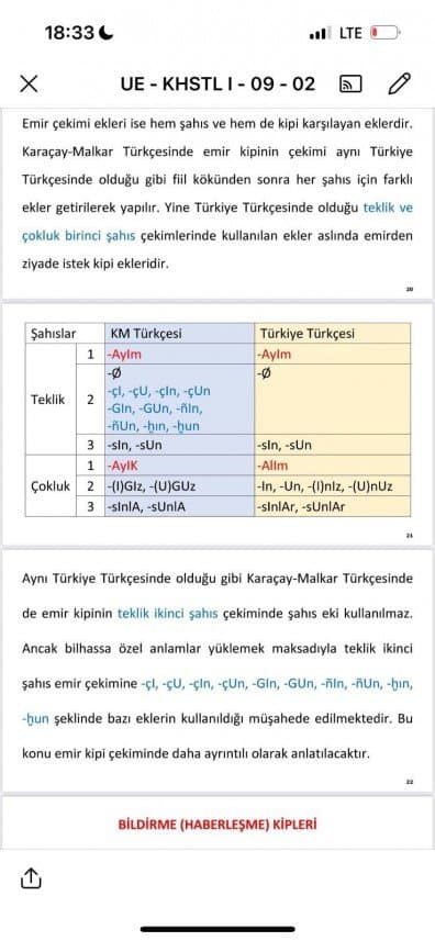 Ayşegül T. — çalışma 1