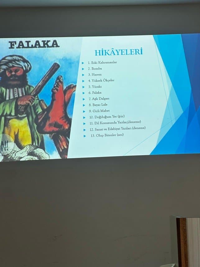 Ayşegül T. — çalışma 4