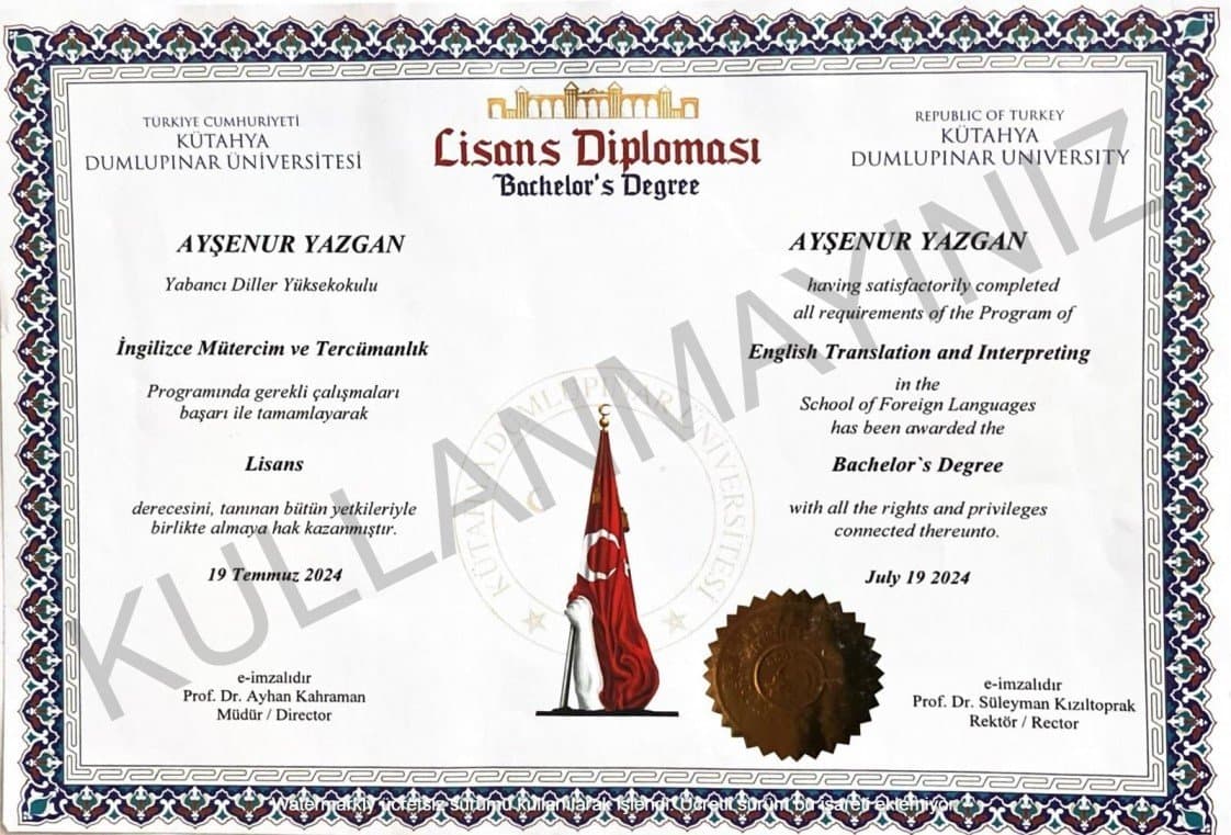 Ayşenur Y. — çalışma 3