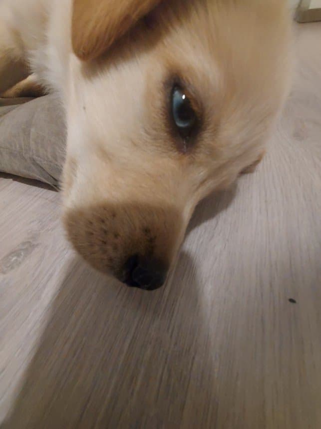 Aysu G. — çalışma 5
