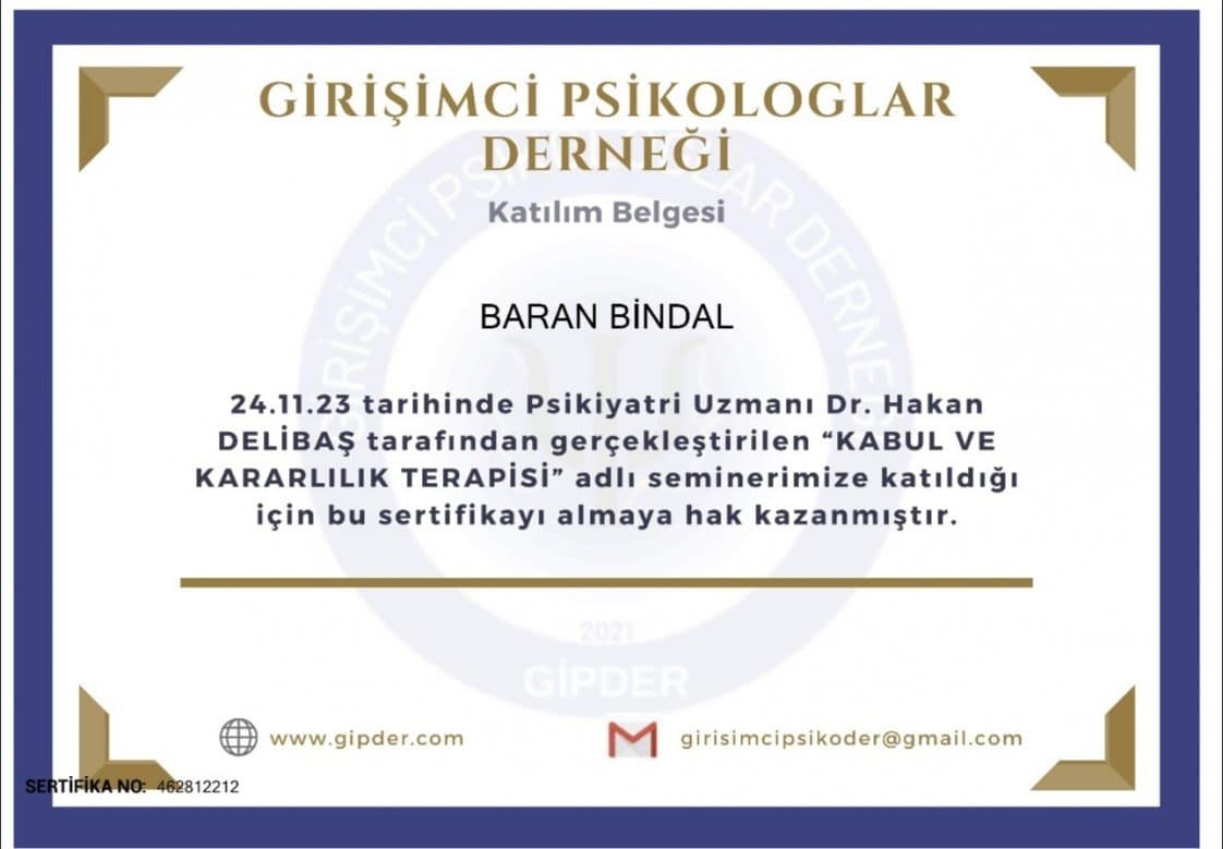 Baran B. — çalışma 6