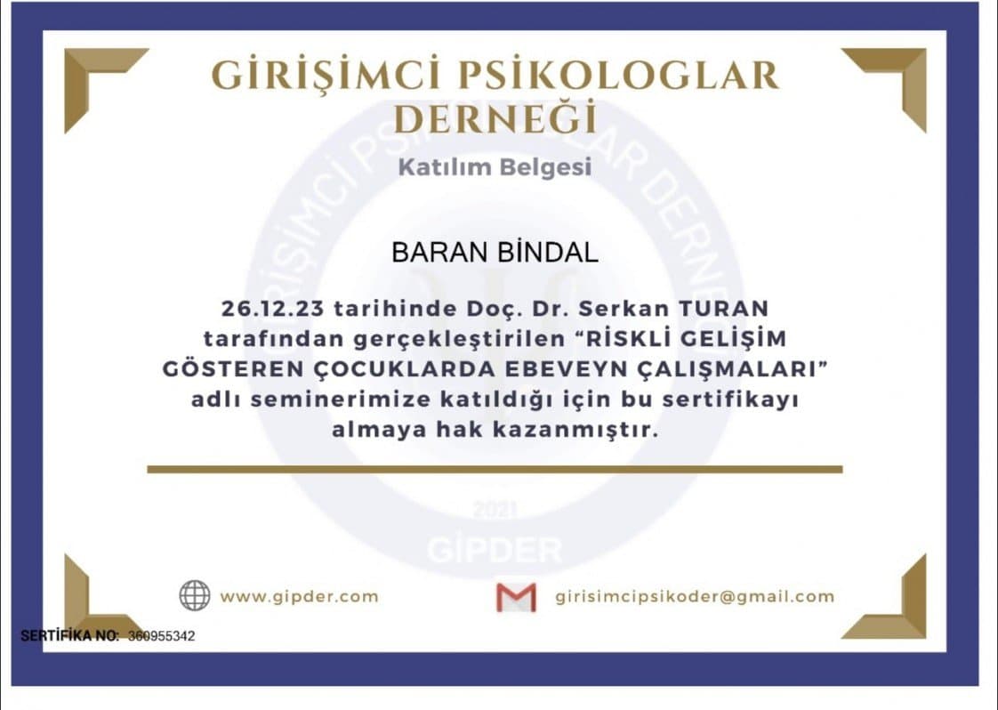 Baran B. — çalışma 4
