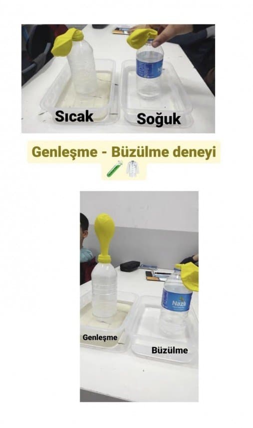 Begüm Ş. — çalışma 1