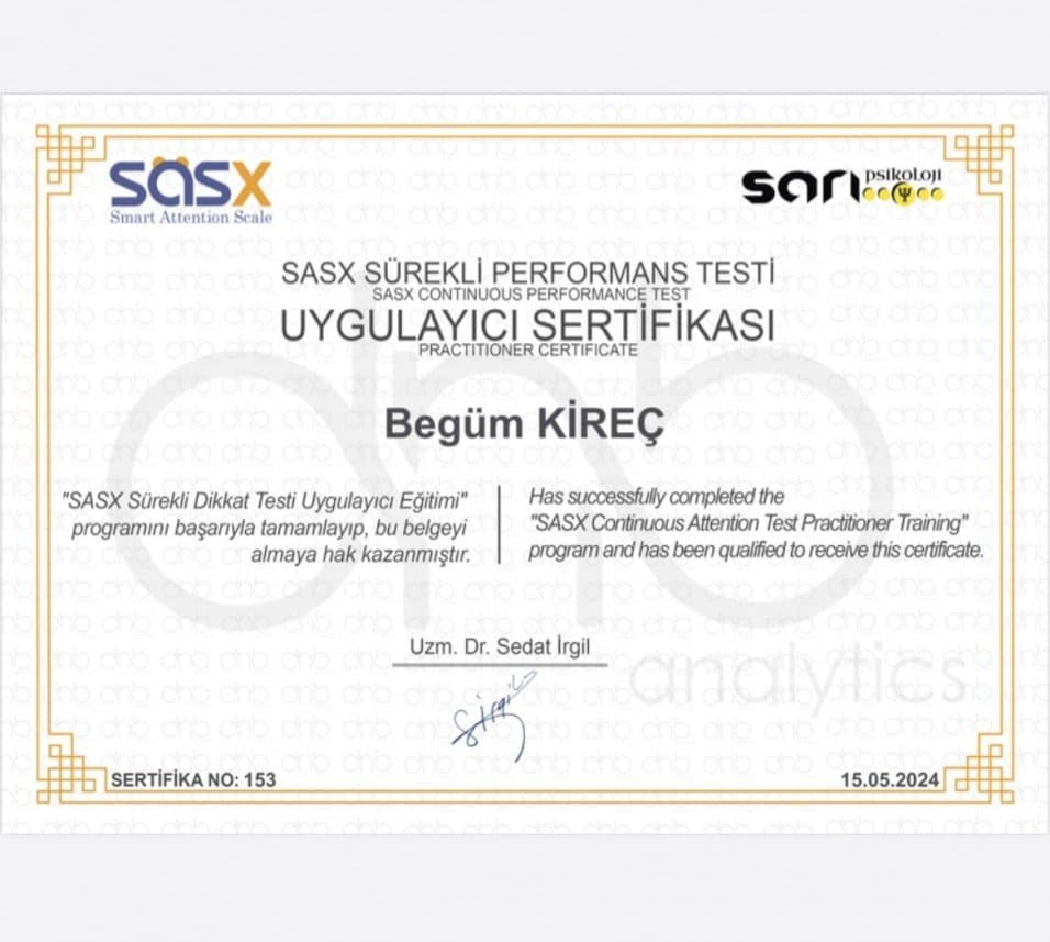 Begüm K. — çalışma 2