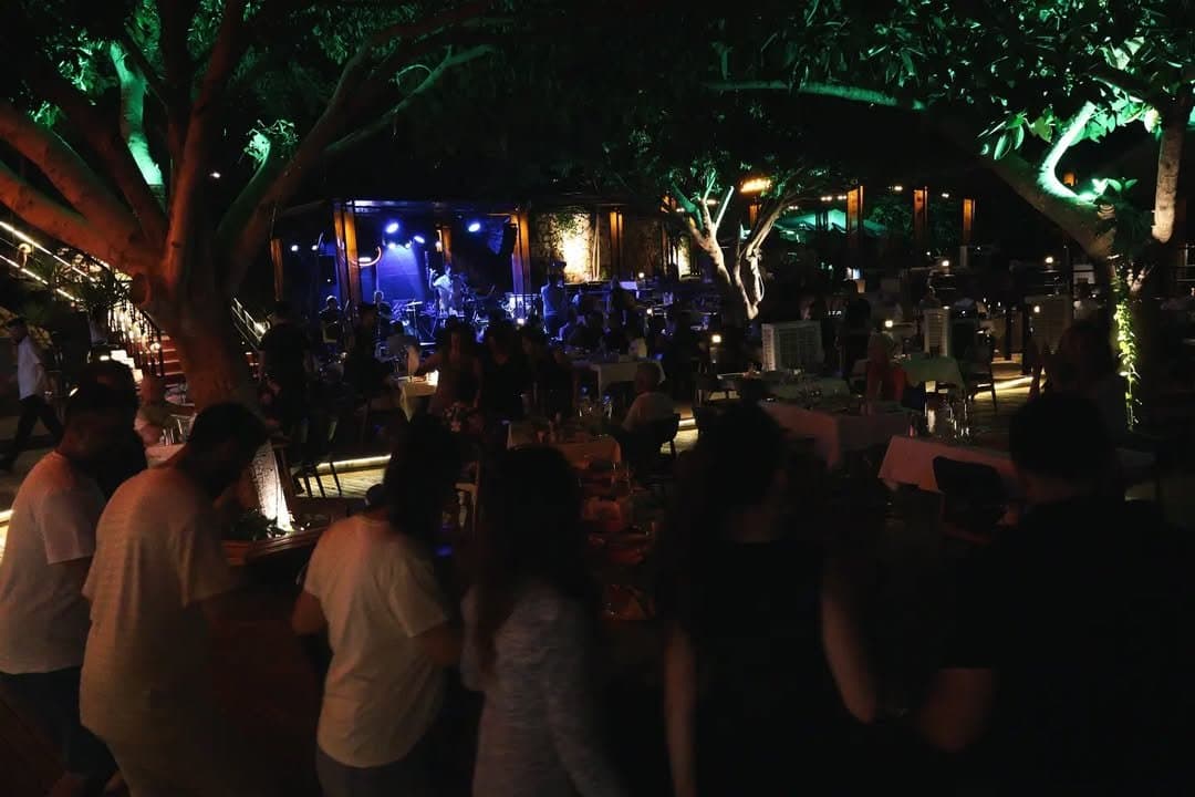 Behnan Z. — çalışma 5