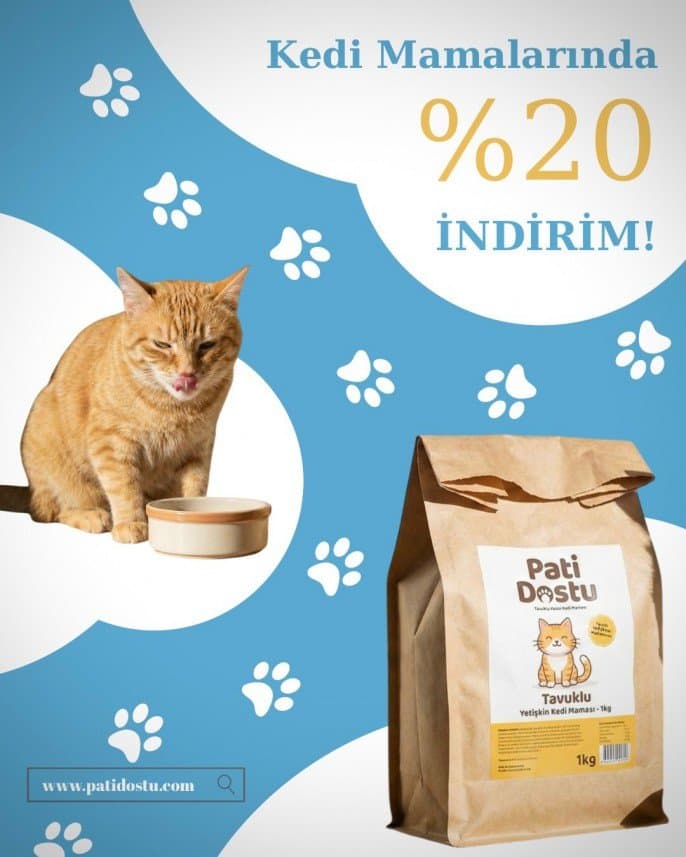 Berfu H. — çalışma 1