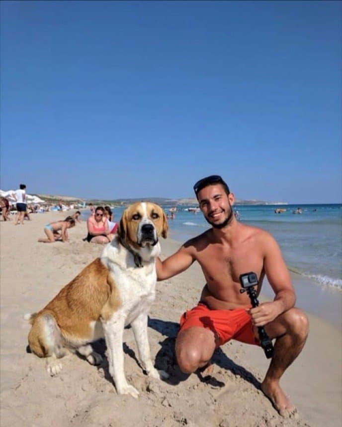 Berk G. — çalışma 2
