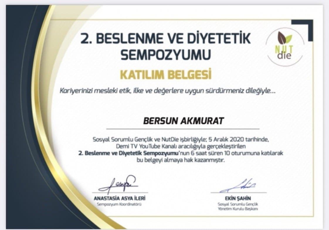 Bersun A. — çalışma 6