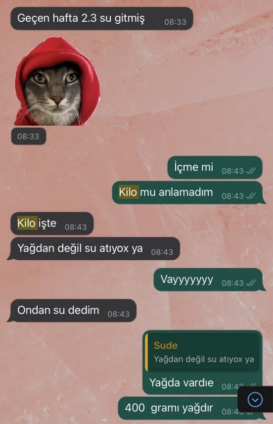 Betül Y. — çalışma 2