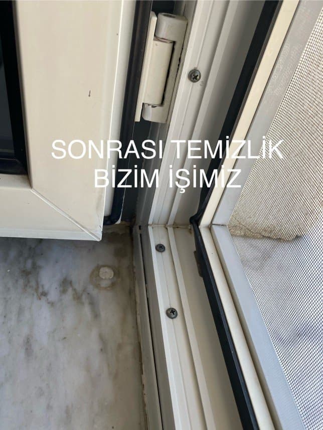 Beyaz T. — çalışma 3