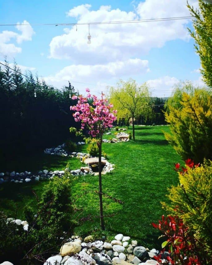 Beyler G. — çalışma 6